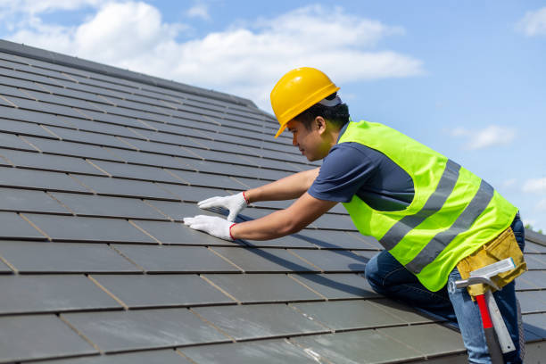 Best Roof Gutter Cleaning  in Princeton, FL